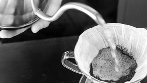 Coffee Tasting & Cupping