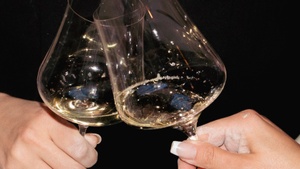 Seasonal Wine Celebration - X-MAS!