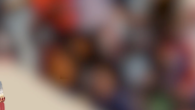 fi x Mira & Chris Schwarzwälder & Lafari