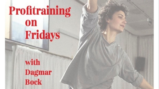 Profitraining Tanz