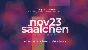 PNT x LNC cozy chaos concert @Holzmarkt