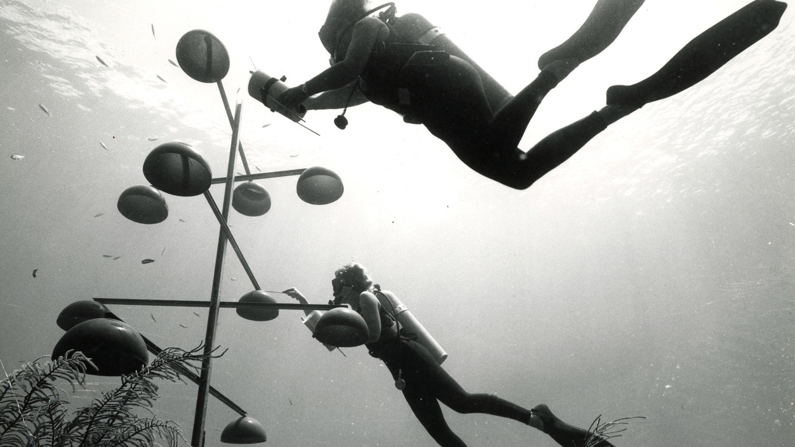 Léa Sisombat: The Ocean as Medium. Jürgen Claus’s exploration of ecological art through »Planet Ocean«