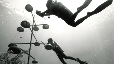 Léa Sisombat: The Ocean as Medium. Jürgen Claus’s exploration of ecological art through »Planet Ocean«
