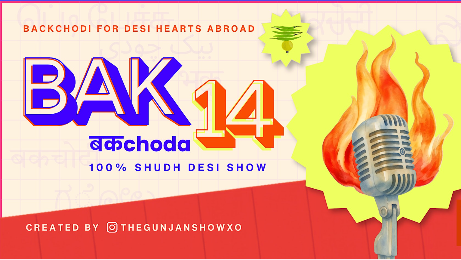 BAK14 DESI HINGLISH SHOW