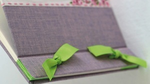 Nachhaltige Handwerkskunst: Japanisches Buchbinden "Watoji" 和綴, Petra Paffenholz