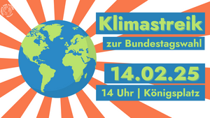 Klimastreik zur Bundestagswahl am 14.02.2025