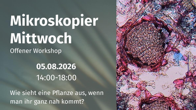 Mikroskopier-Mittwoch, Offener Workshop