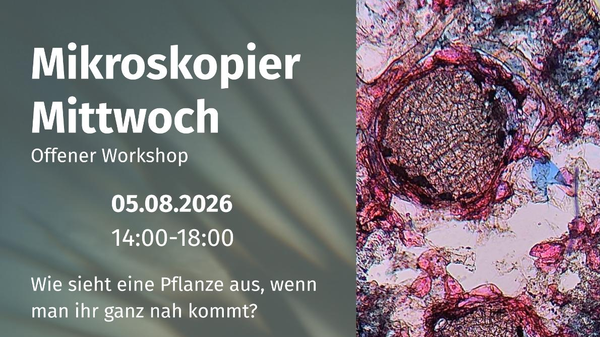 Titelbild der Veranstaltung Mikroskopier-Mittwoch, Offener Workshop