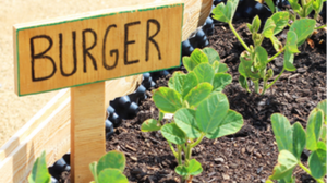 Weltacker 2GO - Interaktive Einblicke in unsere globale Landwirtschaft