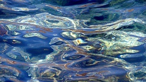 ligeti zentrum @ blurred edges: Ensemble 404 x Water Studies – Digitale Rituale und fließende Welten