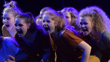 TheaterMedienKlassen 8.1 + 8.2 des AMG | Doppelvorstellung: Große Erwartungen und Ein Sommernachtstraum