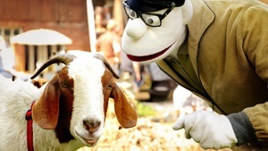 Werner Momsen – Momsen, Tiere, Sensationen