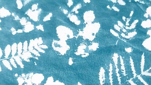 WORKSHOP | Cyanotypie – Lichtmalereien