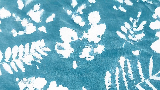 WORKSHOP | Cyanotypie – Lichtmalereien