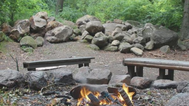 Ferienfreizeit für Kinder (9-11 Jahre): Ferienfreizeit im Wald