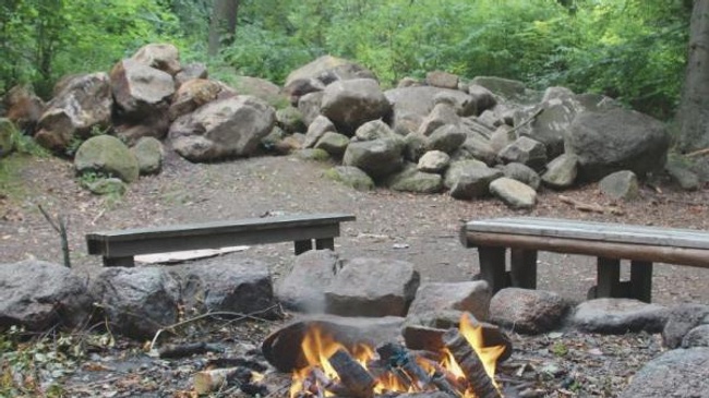 Ferienfreizeit für Kinder (9-11 Jahre): Ferienfreizeit im Wald