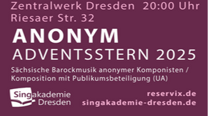 Adventsstern 2025 + Anonymous Interactions