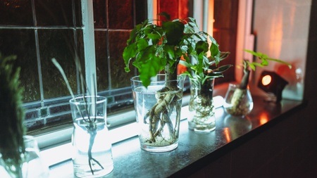 #14 MINIATUREN - Festival