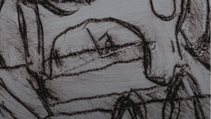 In Persona: Ülo Pikkov