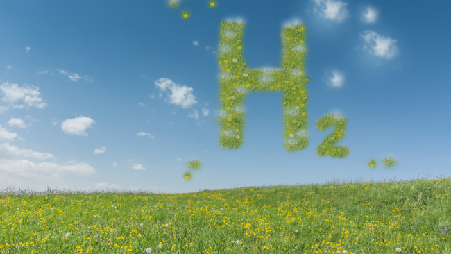 Fragen an die Wissenschaft: Grüner Wasserstoff zwischen Illusion und Hoffnung: Wie stehen die Chancen für seine Nutzung als (CO2-neutraler) Energieträger?
