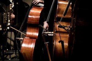 Württembergische Philharmonie Reutlingen: Familienkonzert Orchesterolympiade