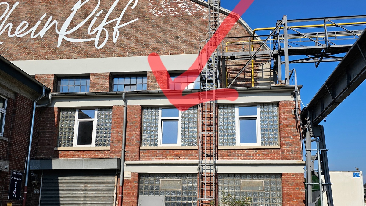 verfilzt \u0026 zugenäht