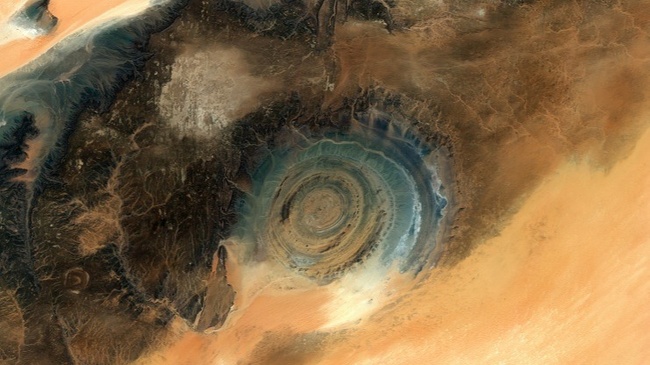 Kreativität der Natur - Expertinnentalk mit Elektrokonzert