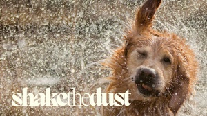 Shake the Dust