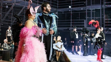 Die Fledermaus