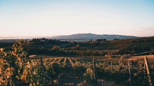 Ferienfreizeit für Jugendliche (15-17 Jahre): Summercamp Toskana in Italien