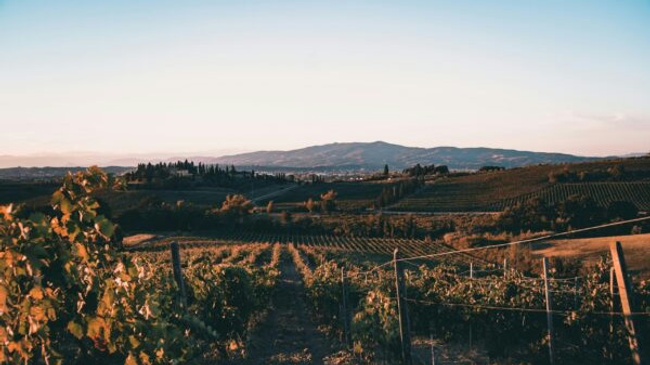 Ferienfreizeit für Jugendliche (15-17 Jahre): Summercamp Toskana in Italien