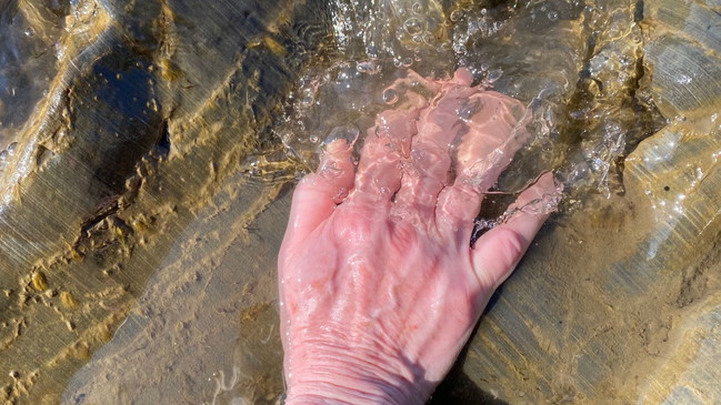 Vibrant Mourning: To Touch and Being Touched by Algae