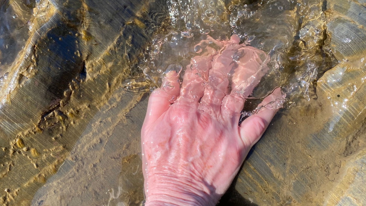Vibrant Mourning: To Touch and Being Touched by Algae