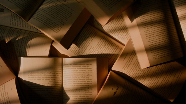 Lesemomente - gemeinsam Bücher entdecken