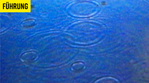 Führung: LABORARTDEPOT - FÄLLE VON WASSER