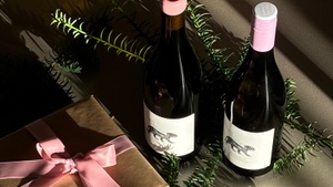 Coming home for christmas