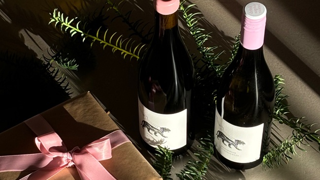 Coming home for christmas