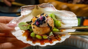 TASTE THE NEW - Private Tasting Night