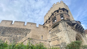 Die Spur des Weines I Radtour