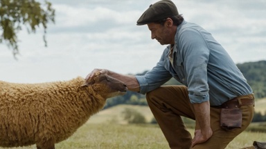 Strickclub: Glennkill: Ein Schafskrimi