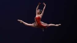 Ballett Stars