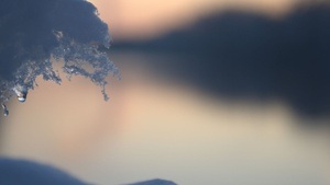 Photo walk - Explore new perspectives