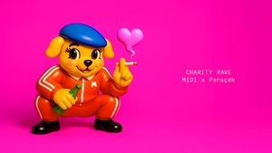 CHARITY RAVE [MiDi x Paracek]