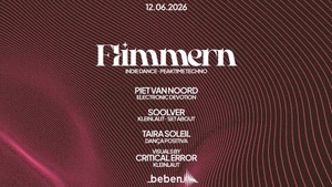 Flimmern: Piet Van Noord · Soolver · Taira Soleil · Critical Error (Visuals)