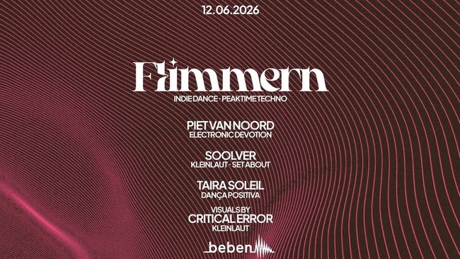 Flimmern: Piet Van Noord · Soolver · Taira Soleil · Critical Error (Visuals)