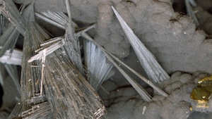 Transpositional Geologies. Koloniale Kontexte mineralogischer Sammlungen