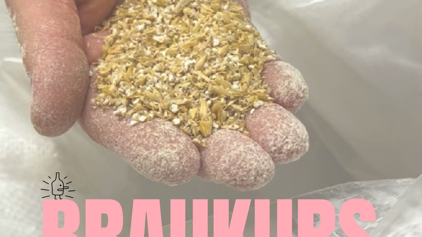 Braukurs - Bier selbst brauen