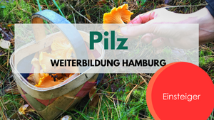 Pilz Weiterbildung für Einsteiger Hamburg