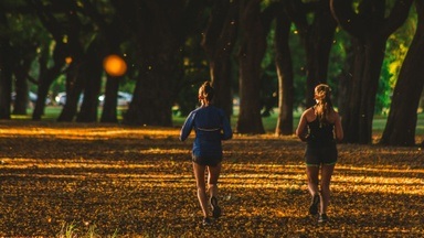 Bewegt im Park: Konditionstraining