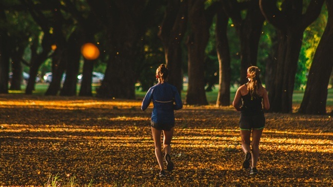 Bewegt im Park: Konditionstraining